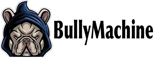 bullymachine.it