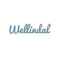 wellindal.it