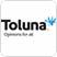 it.toluna.com